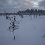 Huvilat Arctic Aurora With Sauna - Northern Lights And Adventures In The Hometown Of Santa Claus, *