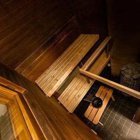 Arctic Aurora With Sauna - Northern Lights And Adventures In The Hometown Of Santa Claus, וילה