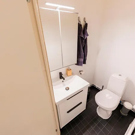 Arctic Aurora With Sauna - Northern Lights And Adventures In The Hometown Of Santa Claus, Villa *