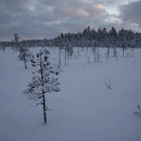 וילה Arctic Aurora With Sauna - Northern Lights And Adventures In The Hometown Of Santa Claus, *
