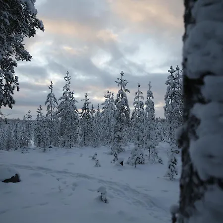 Arctic Aurora With Sauna Rovaniemi