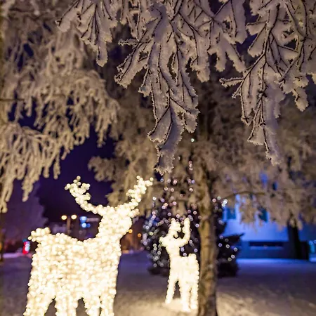 Arctic Aurora With Sauna - Northern Lights And Adventures In The Hometown Of Santa Claus, *