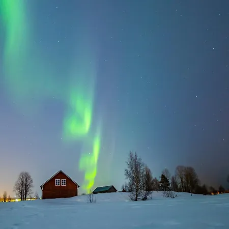 Arctic Aurora With Sauna - Northern Lights And Adventures In The Hometown Of Santa Claus, *