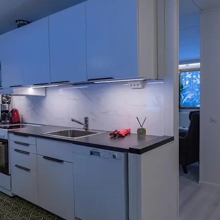 Arctic Aurora With Sauna - Northern Lights And Adventures In The Hometown Of Santa Claus, *