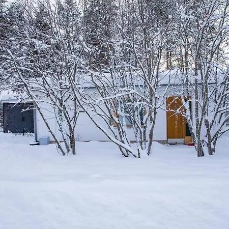 Arctic Aurora With Sauna Villa