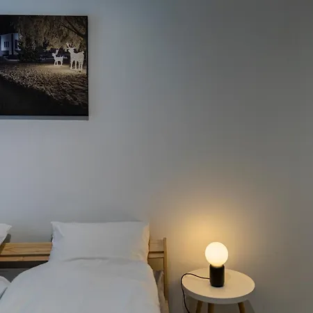 Arctic Aurora With Sauna - Northern Lights And Adventures In The Hometown Of Santa Claus,