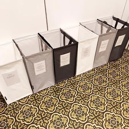 Arctic Aurora With Sauna - Northern Lights And Adventures In The Hometown Of Santa Claus, Rovaniemi