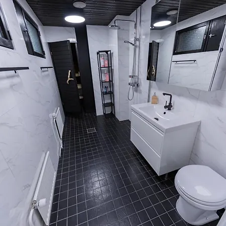 Arctic Aurora With Sauna - Northern Lights And Adventures In The Hometown Of Santa Claus, Villa Rovaniemi