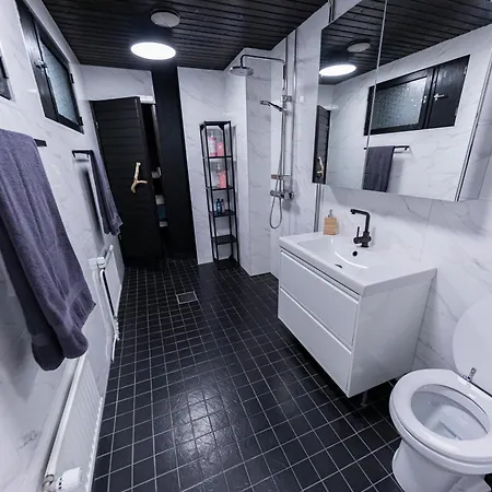 Arctic Aurora With Sauna - Northern Lights And Adventures In The Hometown Of Santa Claus,