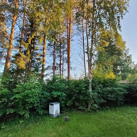 Arctic Aurora With Sauna - Northern Lights And Adventures In The Hometown Of Santa Claus, וילה