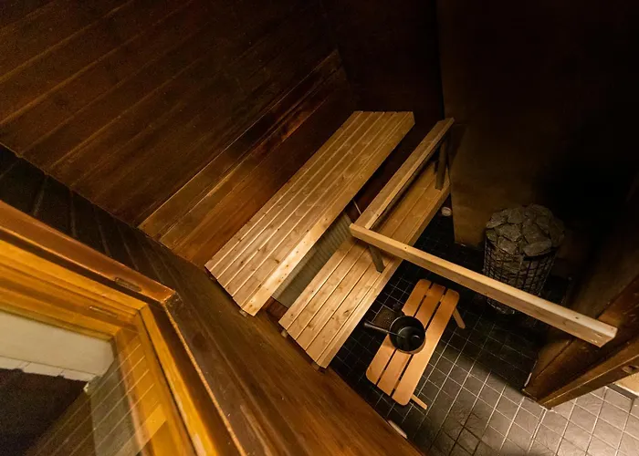 Arctic Aurora With Sauna - Northern Lights And Adventures In The Hometown Of Santa Claus, Villa