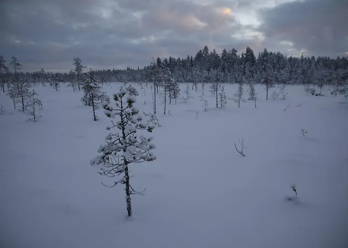 Villa Arctic Aurora With Sauna - Northern Lights And Adventures In The Hometown Of Santa Claus, *