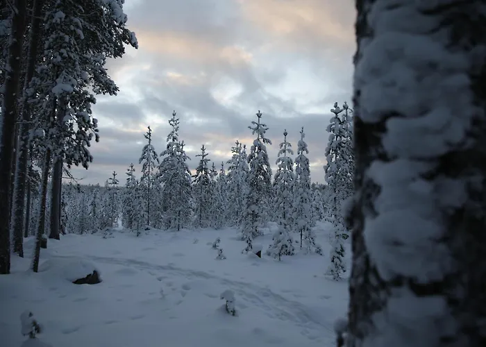 Arctic Aurora With Sauna - Northern Lights And Adventures In The Hometown Of Santa Claus, Rovaniemi