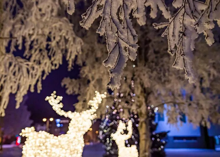 Arctic Aurora With Sauna - Northern Lights And Adventures In The Hometown Of Santa Claus, *