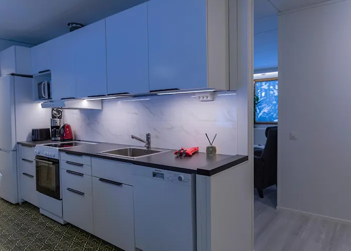 Arctic Aurora With Sauna - Northern Lights And Adventures In The Hometown Of Santa Claus, *