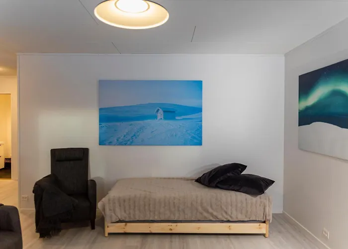 Arctic Aurora With Sauna - Northern Lights And Adventures In The Hometown Of Santa Claus,