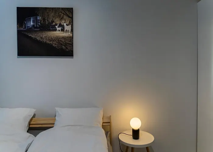 Arctic Aurora With Sauna - Northern Lights And Adventures In The Hometown Of Santa Claus,