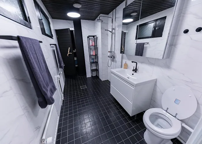 Arctic Aurora With Sauna - Northern Lights And Adventures In The Hometown Of Santa Claus,